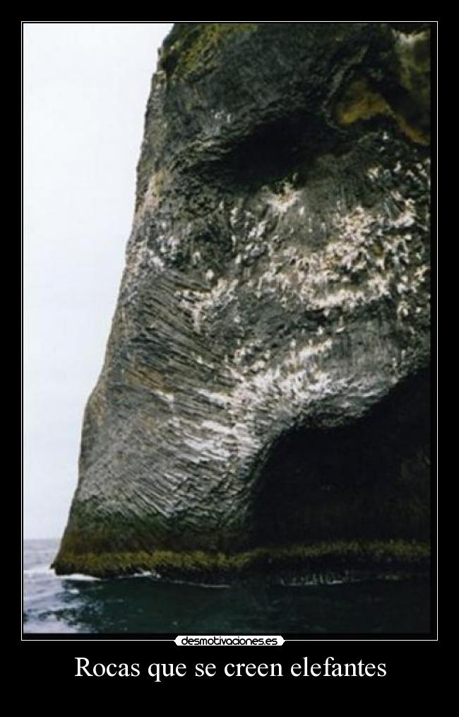 Rocas que se creen elefantes - 