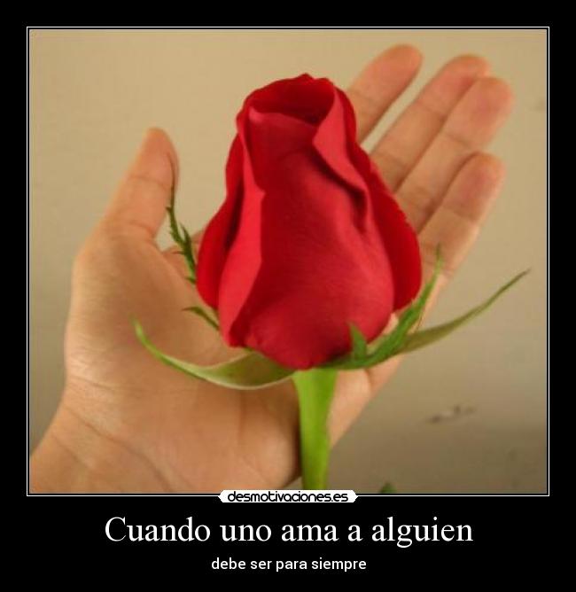 Cuando uno ama a alguien - 