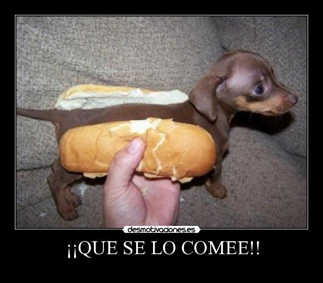 ¡¡QUE SE LO COMEE!! -