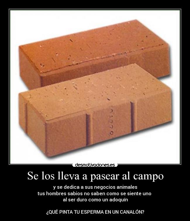 carteles thick brick desmotivaciones