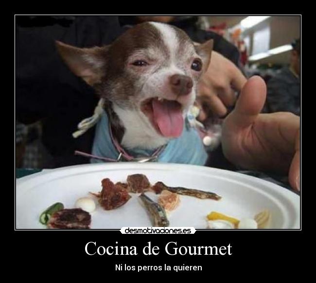 Cocina de Gourmet -