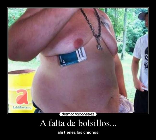 A falta de bolsillos... - ahi tienes los chichos.