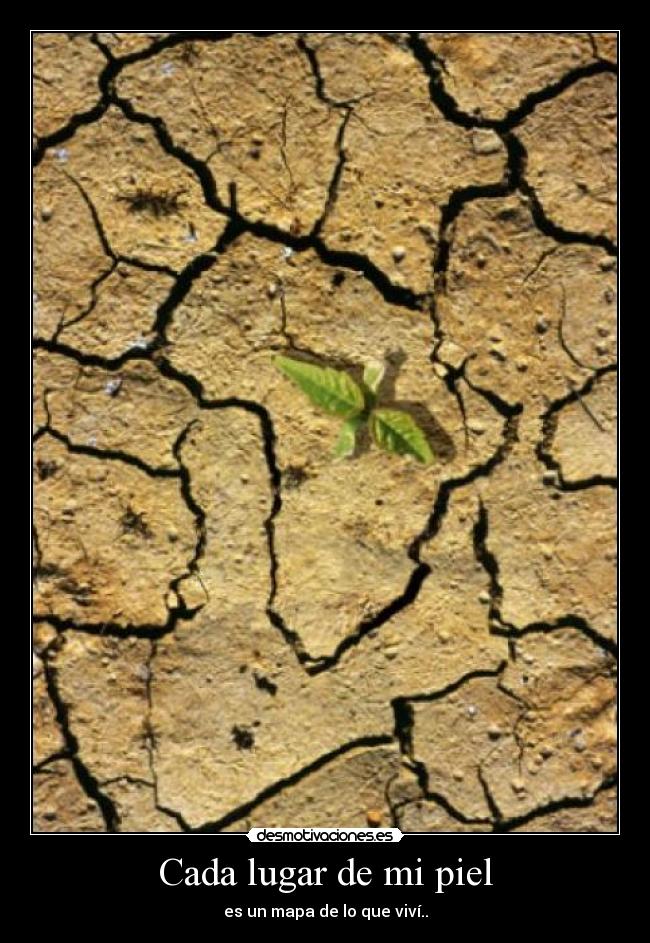 Cada lugar de mi piel -