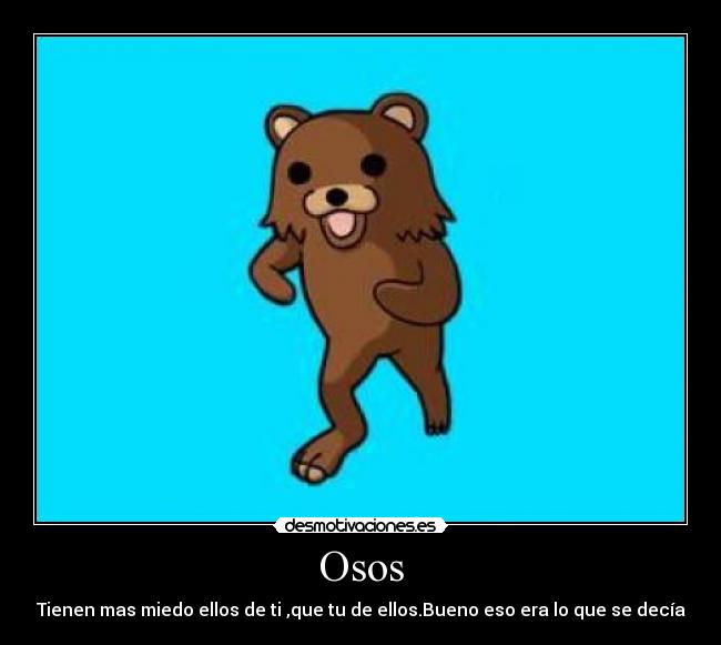 Osos - Tienen mas miedo ellos de ti ,que tu de ellos.Bueno eso era lo que se decía