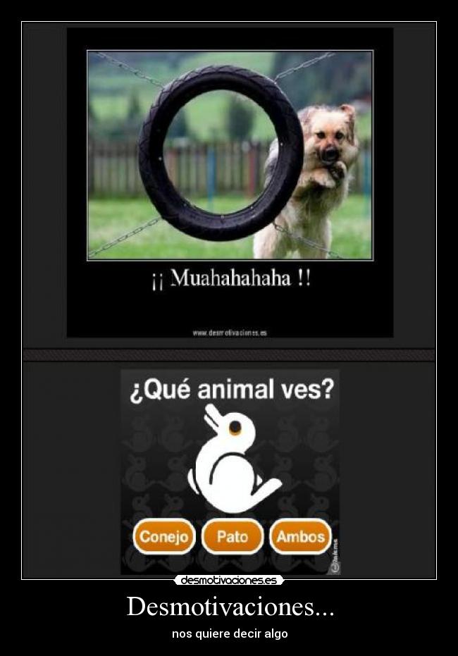 Desmotivaciones... -
