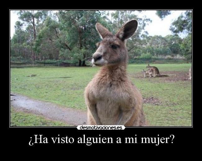 ¿Ha visto alguien a mi mujer? -