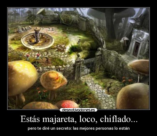 Estás majareta, loco, chiflado... - 