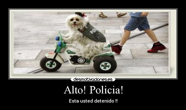 Alto! Policia! - Esta usted detenido !!