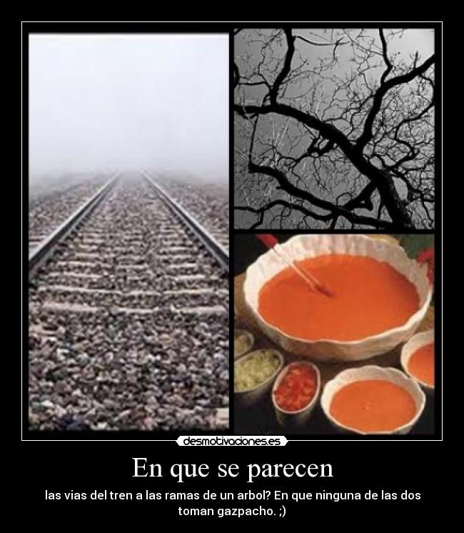 En que se parecen - las vias del tren a las ramas de un arbol? En que ninguna de las dos
toman gazpacho. ;)