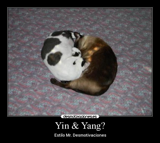 Yin & Yang? -