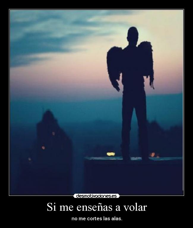 Si me enseñas a volar -