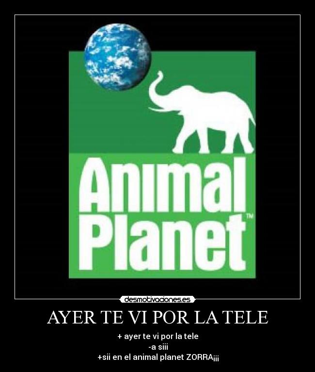 AYER TE VI POR LA TELE - 