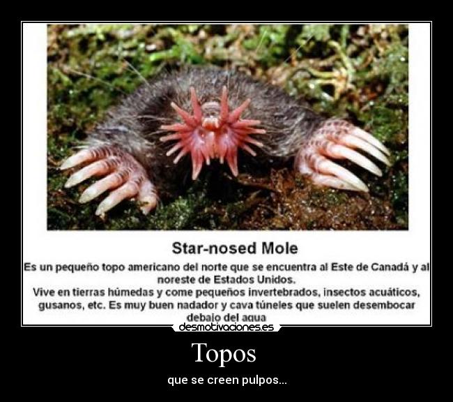 carteles gilitolay desmotivaciones