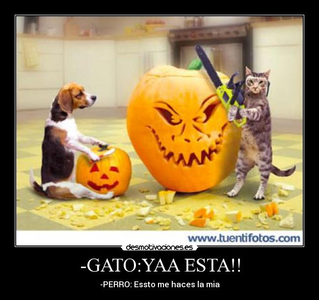 carteles raperrr desmotivaciones