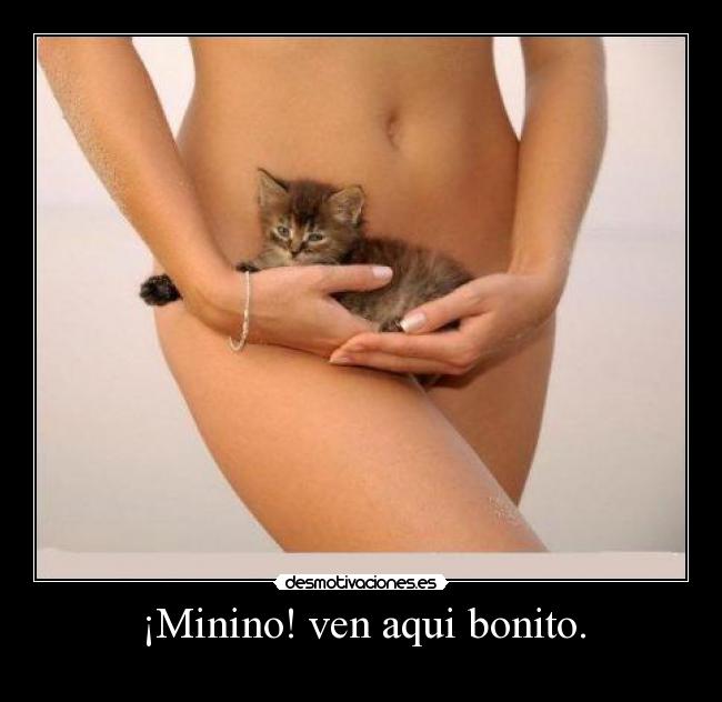 ¡Minino! ven aqui bonito. - 