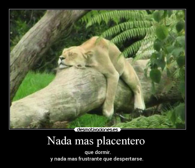 Nada mas placentero - que dormir.
y nada mas frustrante que despertarse.