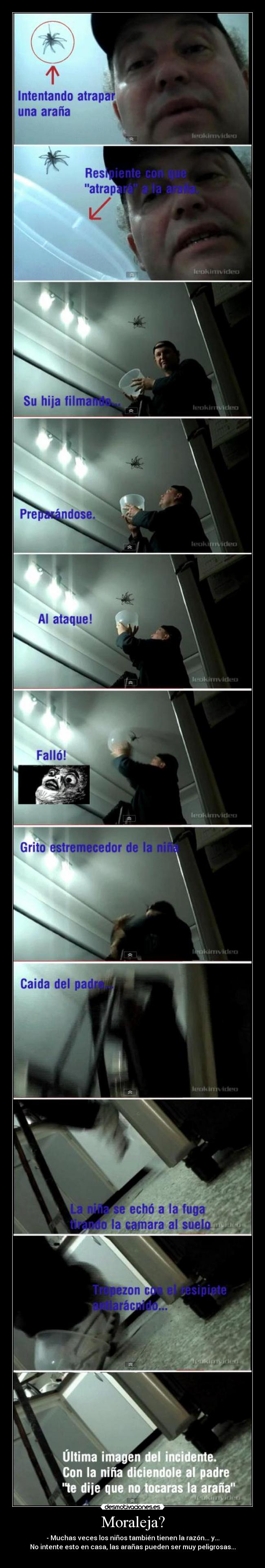 Moraleja? - - Muchas veces los niños también tienen la razón... y...
No intente esto en casa, las arañas pueden ser muy peligrosas...