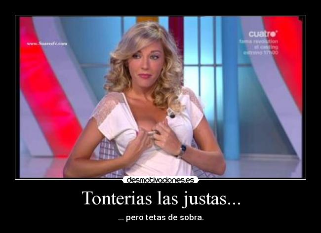 Tonterias las justas... -