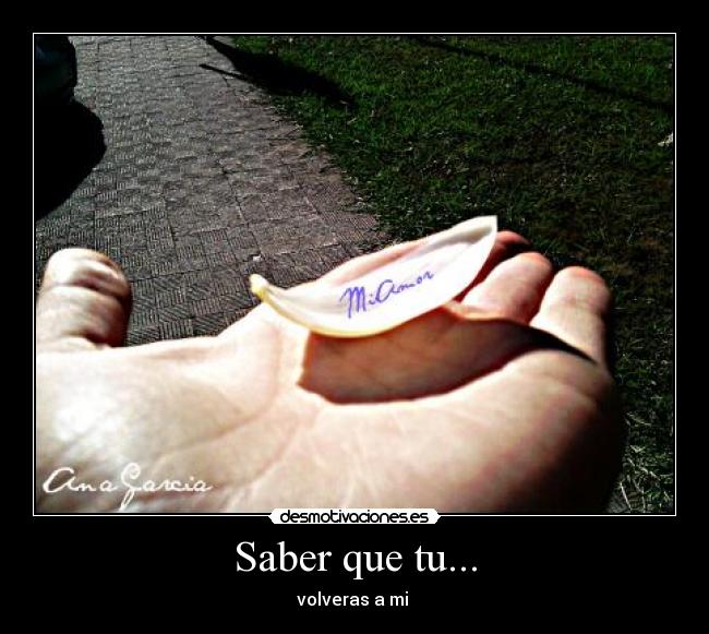 carteles como molaaa desmotivaciones