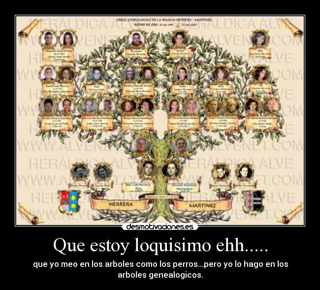 Que estoy loquisimo ehh..... - que yo meo en los arboles como los perros...pero yo lo hago en los
arboles genealogicos.