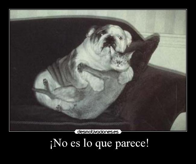 ¡No es lo que parece! - 