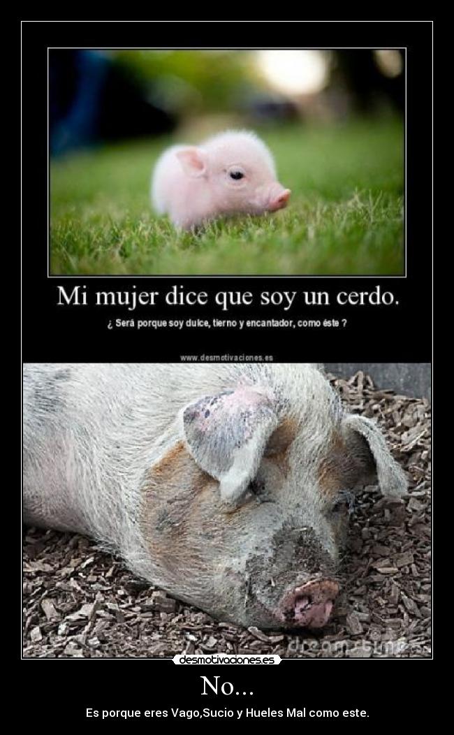 No... - Es porque eres Vago,Sucio y Hueles Mal como este.