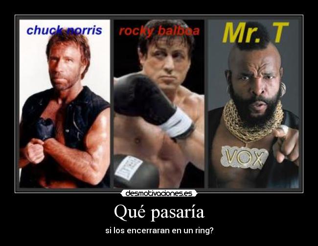 Qué pasaría - si los encerraran en un ring?