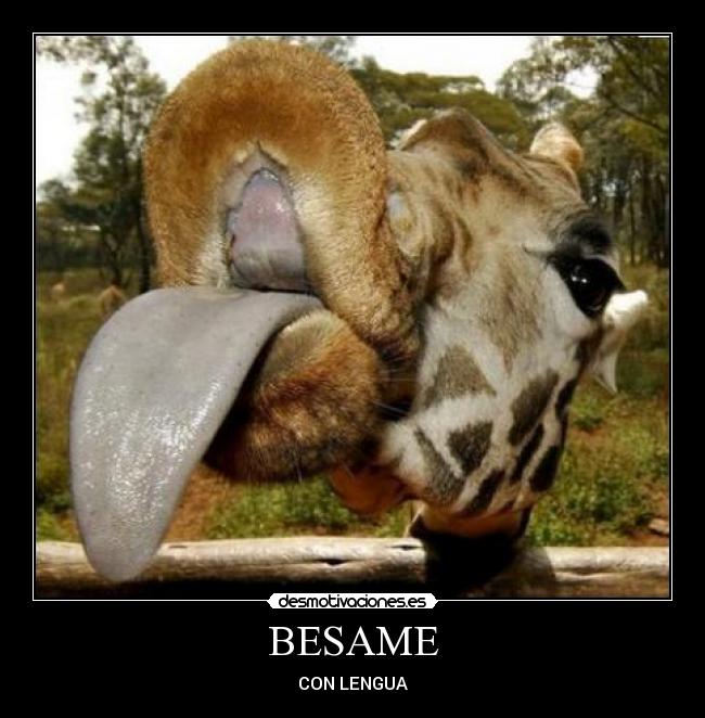 BESAME - CON LENGUA