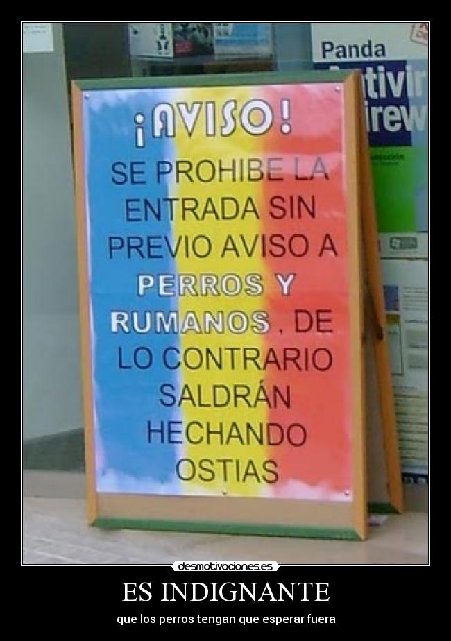 ES INDIGNANTE - que los perros tengan que esperar fuera