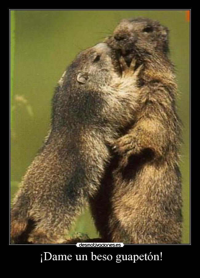 ¡Dame un beso guapetón! - 