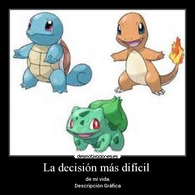 La decisión más difícil - de mi vida.
Descripción Gráfica