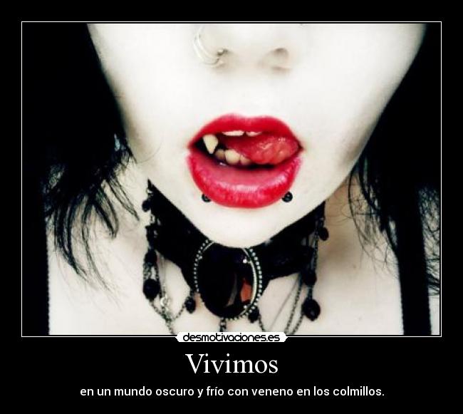 carteles colmillos desmotivaciones