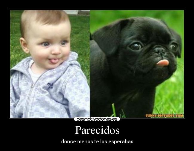 Parecidos - 