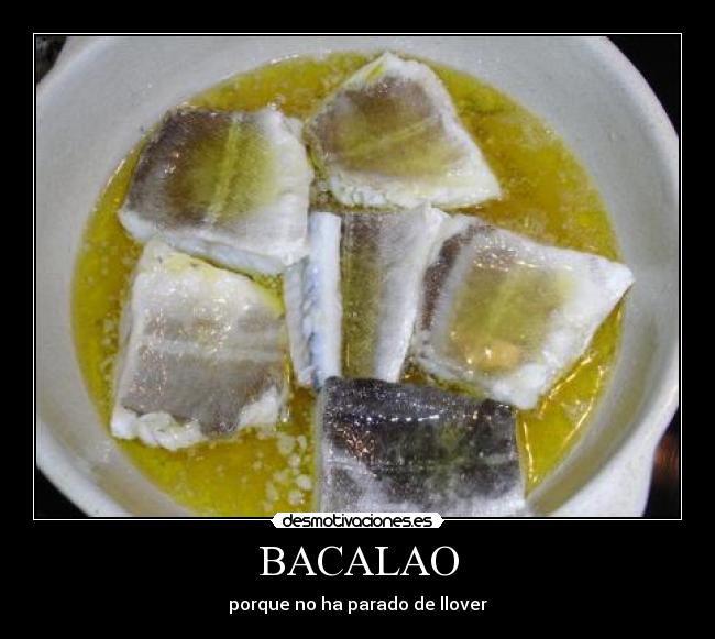 BACALAO - porque no ha parado de llover