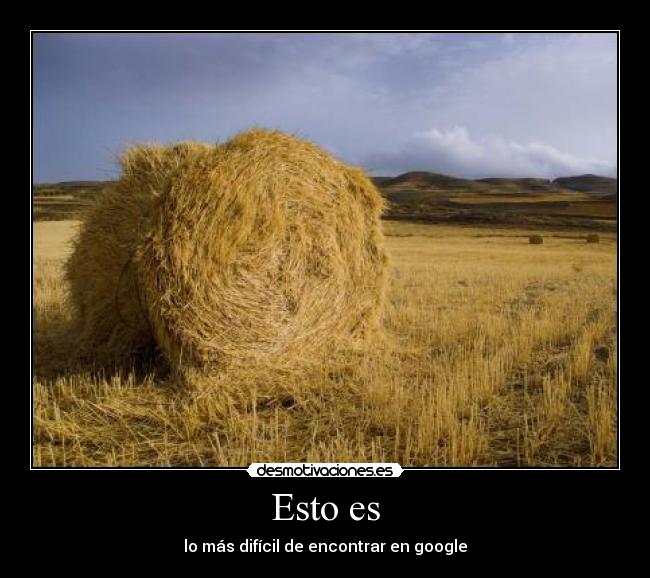 carteles google desmotivaciones