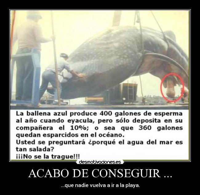 ACABO DE CONSEGUIR ... - 