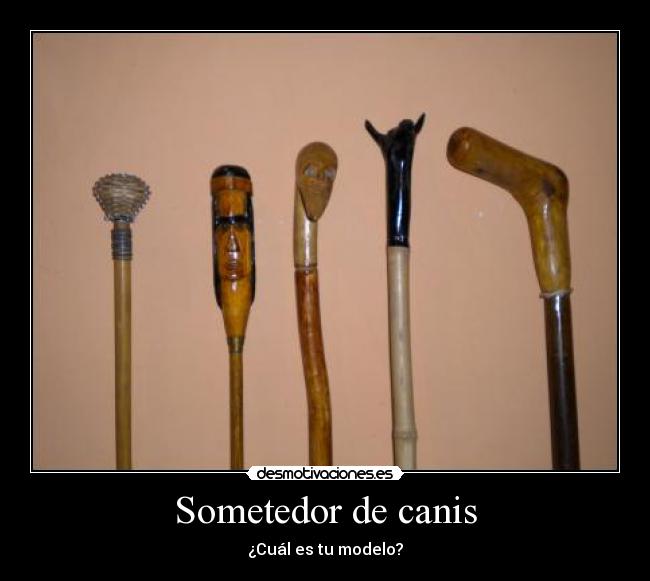 Sometedor de canis - ¿Cuál es tu modelo?