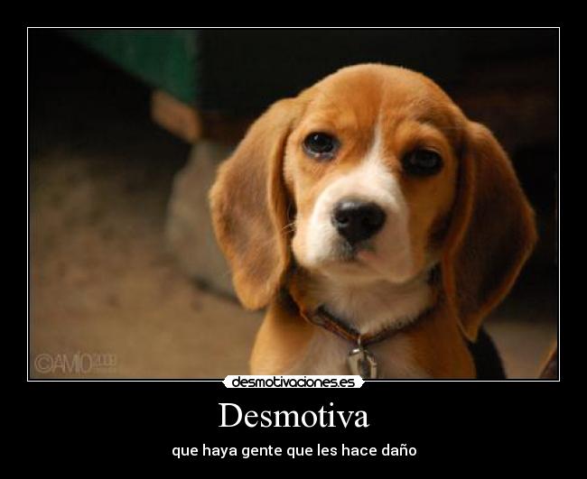 Desmotiva - que haya gente que les hace daño