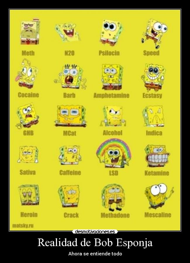 Realidad de Bob Esponja -