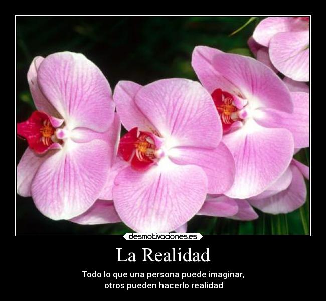 La Realidad - 