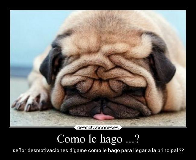 Como le hago ...? -