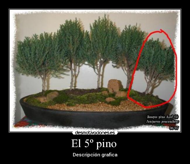 El 5º pino - Descripción grafica