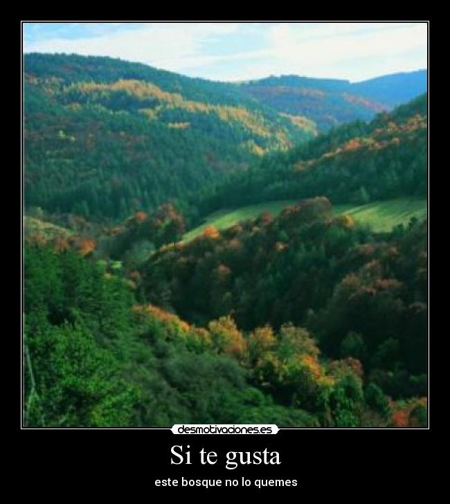 Si te gusta - este bosque no lo quemes