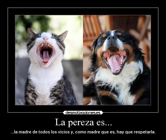 La pereza es... - 