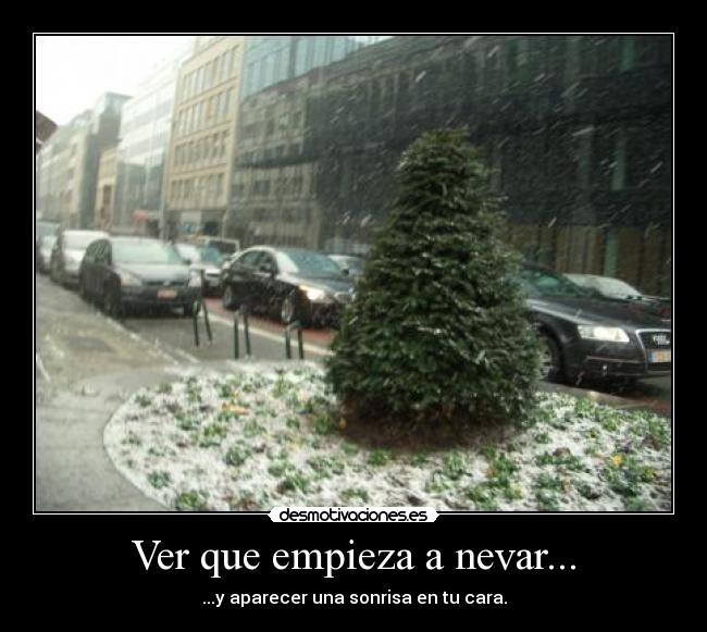 Ver que empieza a nevar... - 