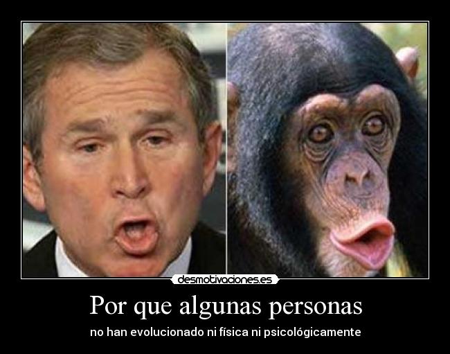 Por que algunas personas -