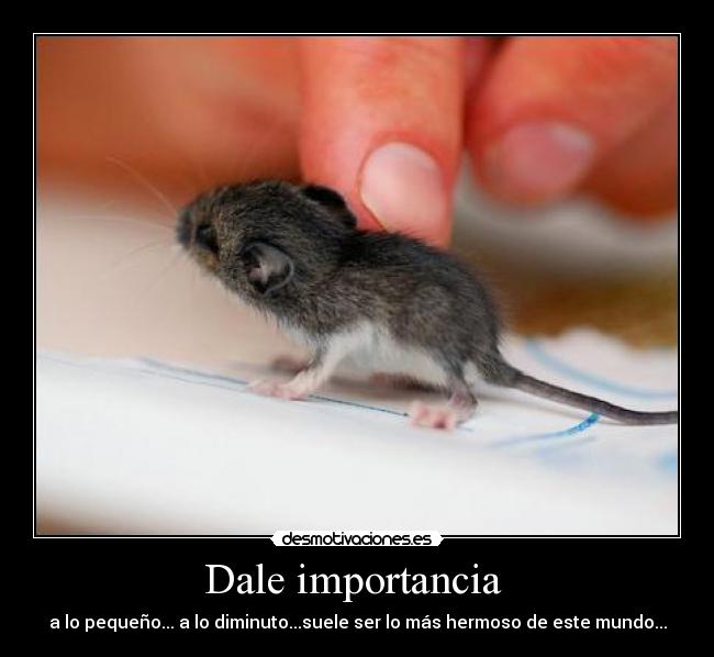 Dale importancia -