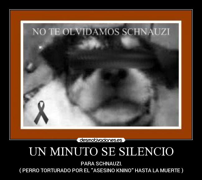 UN MINUTO SE SILENCIO - PARA SCHNAUZI.
( PERRO TORTURADO POR EL ASESINO KNINO HASTA LA MUERTE )