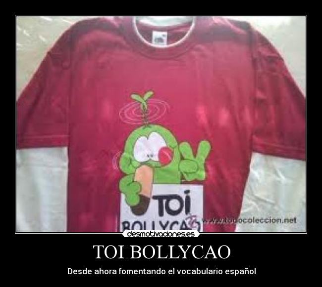 TOI BOLLYCAO - Desde ahora fomentando el vocabulario español