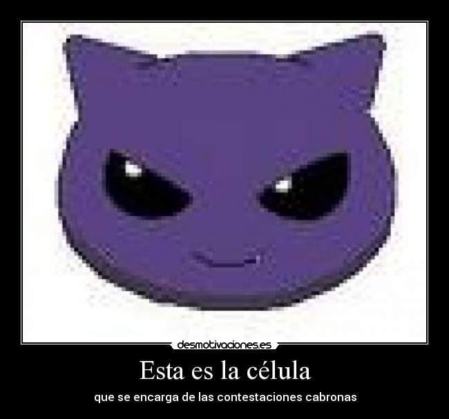 Esta es la célula - 